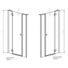 душевые двери Radaway Essenza New DWJS 110x200 стекло прозрачное правые (385030-01-01R)