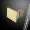 душові двері Radaway Essenza Pro DWJ 110x200 права, безпечне скло, прозоре, золота (10099110-09-01R)