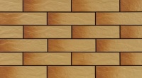 фасадная плитка Cerrad Gobi 24,5x6,5 рустикальная