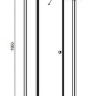 Душевые двери Radaway EOS II DWJ 100x195, левые, стекло прозрачное (3799442-01L)