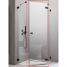 душевая дверь Radaway Essenza Pro PTJ 57x200 правая, безопасное стекло, прозрачное, чёрная (10100000-54-01R)