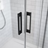 душевая дверь Radaway Idea DWJ 120x200,5 стекло прозрачное, black, левая (387016-54-55L)