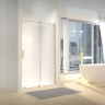 душевая дверь Rea Montana 100x200 brushed gold (REA-K2507)
