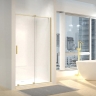 душевая дверь Rea Montana 100x200 brushed gold (REA-K2507)
