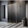душові двері Radaway Essenza Pro KDJ 80x200 ліва, безпечне скло, прозоре, золота (10097080-09-01L)