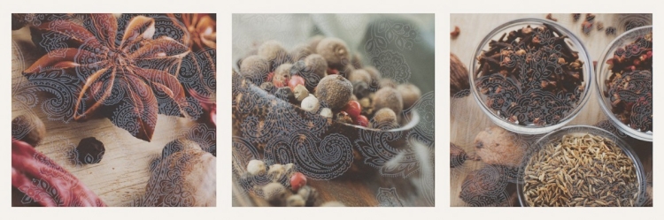декор Paradyz Briosa Herbs B 20x60