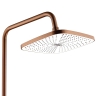 душова система Rea Storm gold brush (REA-P3000)