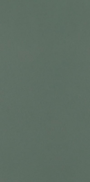 плитка Paradyz Neve Creative 9,8x19,8 dark green