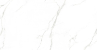 плитка Inspiro S-Carrara 60x120 (CK126-9MY007PA)
