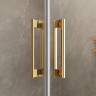душевая дверь Radaway Idea DWJ 140x200,5 стекло прозрачное, gold левая (387018-09-01L)