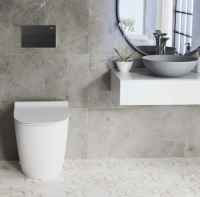 смывная клавиша Rea T steel black (REA-E0056)