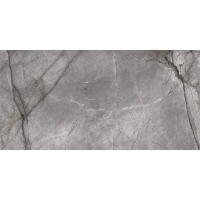 плитка Inspiro Silver Root Light Grey Glossy 60x120 (SR12602Q)