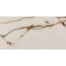плитка Inspiro Suzuki Onyx Beige 60x120