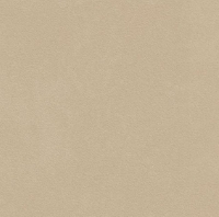 плитка Paradyz Archicross base 59,8x59,8 beige, B mat, rekt., structura