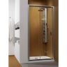 душові двері Radaway Premium 110х190 скло прозоре (33302-01-01N)