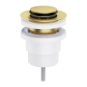 донний клапан Omnires click-clack brushed brass (A47BSB)