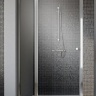 Душевые двери Radaway EOS II DWJ 110x195, правые,  стекло прозрачное (3799443-01R)