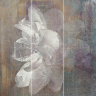 панно Paradyz Manteia Panel A 60x60 colour