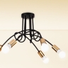 люстра TooLight Paradise 70x70  black APP518-5C (OSW-01102)