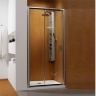 душові двері Radaway Premium Plus DWJ 100x190 хром/фабрик (33303-01-06N)