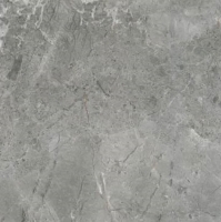 плитка Inspiro Greyflower Mat 60x60 (YH7M MATTE)