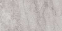 плитка Anatolia La Marca 60x120 Argento Honed