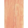 плитка Inspiro Bostan 20x120 Bohemian Peach