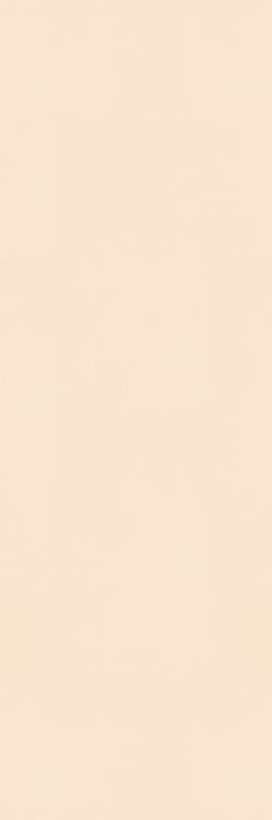 плитка Paradyz Neve Creative 29,8x89,8 beige rect mat