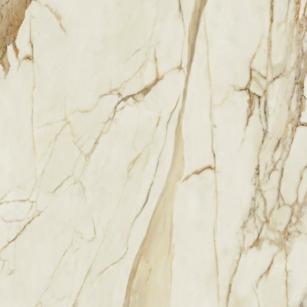 плитка My Way Paradyz Warm wind 120x120 gold, poler, rekt.