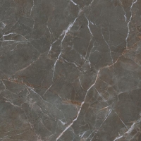 плитка Paradyz Proud champagne 120x120 naturale, mat, rekt., structura