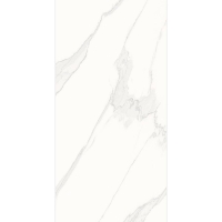 плитка Inspiro Satvario Royal Glossy 60x120