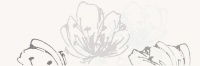 декор Paradyz Midian inserto Kwiat 20x60 bianco