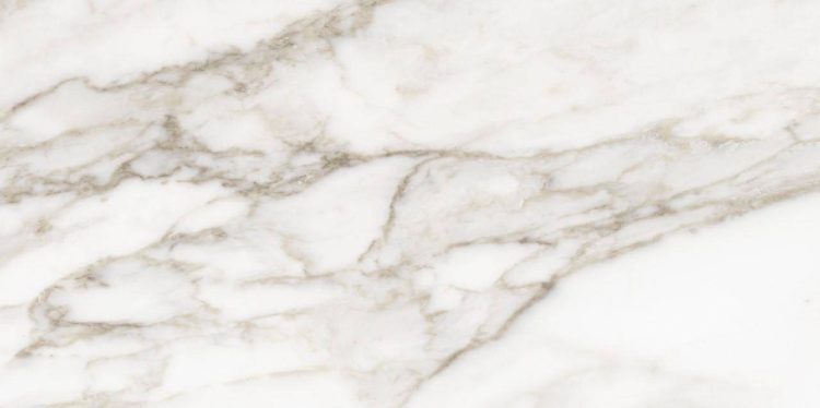 плитка Anatolia La Marca 60x120 Calacatta Paonazzo Polished