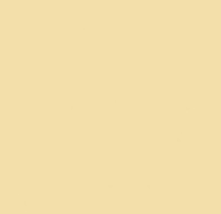 плитка Paradyz Gamma (Inwesta) M 19,8x19,8 beige