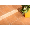 ступень прямая Cerrad Cottage 30x30 код 1238 curry