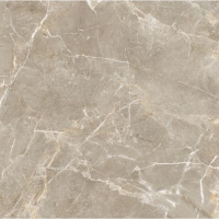 плитка Paradyz Proud champagne 120x120 beige, mat, rekt., structura