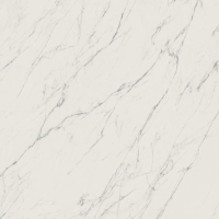 плитка My Way Paradyz Elite 120x120 white, mat, rekt.