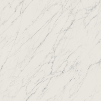 плитка My Way Paradyz Elite 120x120 white, mat, rekt.