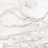 плитка Anatolia La Marca 60x120 Calacatta Paonazzo Honed
