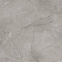 плитка Inspiro Argenta 120x120 Gris