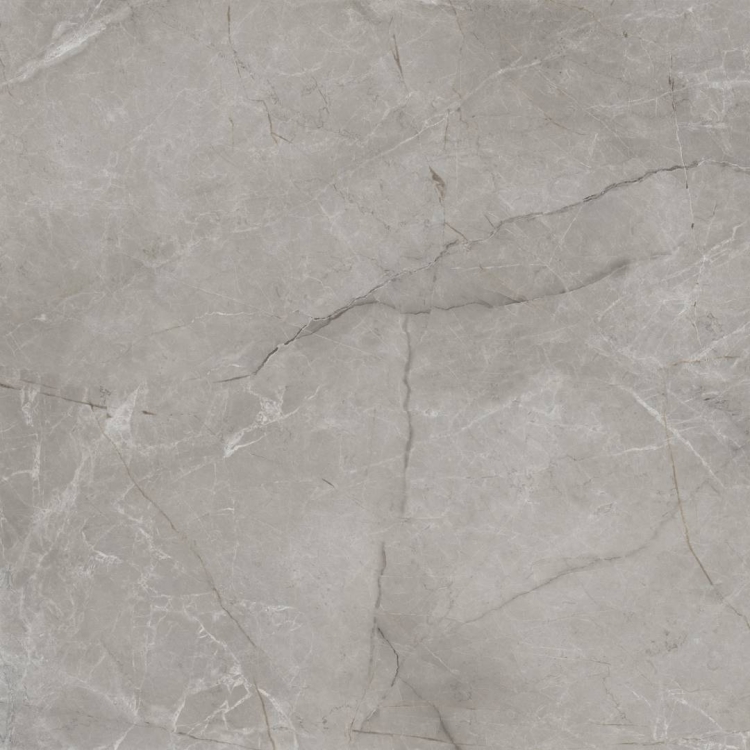 плитка Inspiro Argenta 120x120 Gris