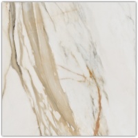 плитка Stargres Calacatta Gold 59x59 polished rett