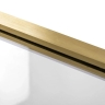 душевая дверь Rea Rapid Slide 100x195 безопасное стекло, прозрачное, gold (REA-K4707)