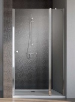 Душевые двери Radaway EOS II DWJ 110x195, левые, стекло прозрачное (3799443-01L)