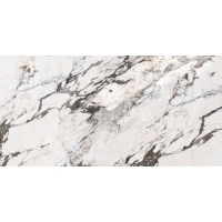 плитка Inspiro Satuario Spider 60x120