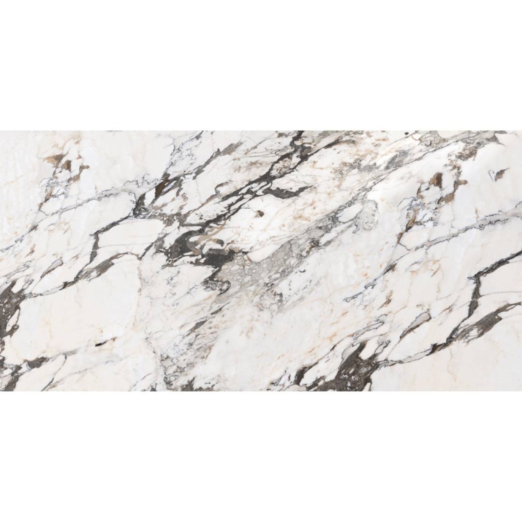 плитка Inspiro Satuario Spider 60x120