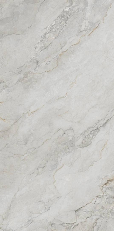 плитка Inspiro Camouflage 60x120  (MC612E62G)