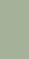 плитка Paradyz Feelings 29,8X59,8 green rect