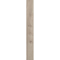 плитка Paradyz Wildland 20x120 warm, mat, rekt., structura