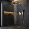 душова система прихованого монтажу Rea Lungo Stripe brushed gold (REA-P9492)
